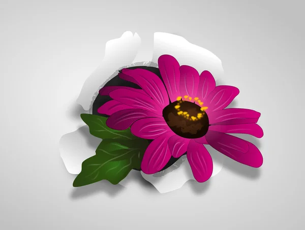 Bela flor no papel — Fotografia de Stock