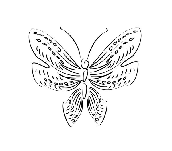 Línea de arte mariposa — Foto de Stock