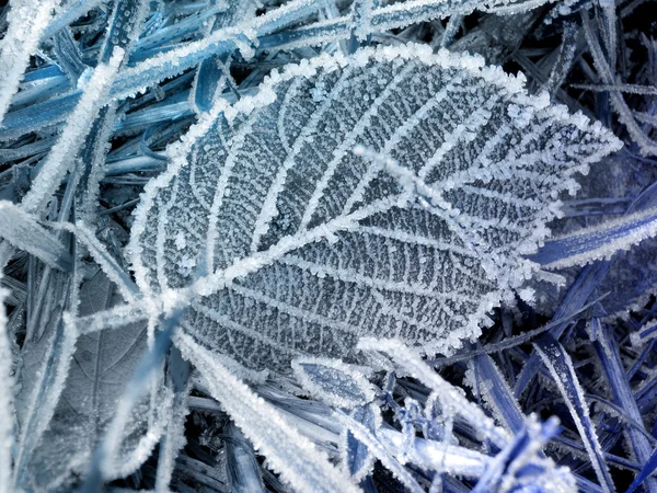 浪漫的景观观 — 图库照片