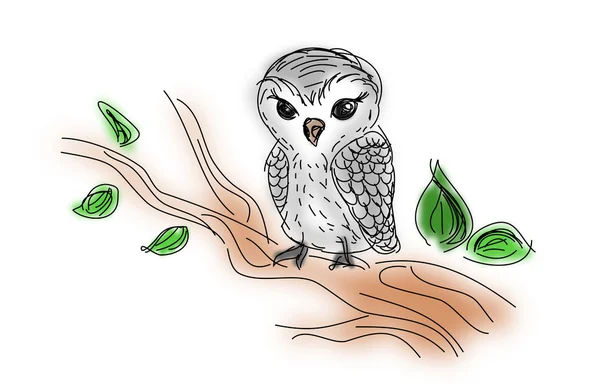 Owl sitting on twig of tree — Stock Photo, Image