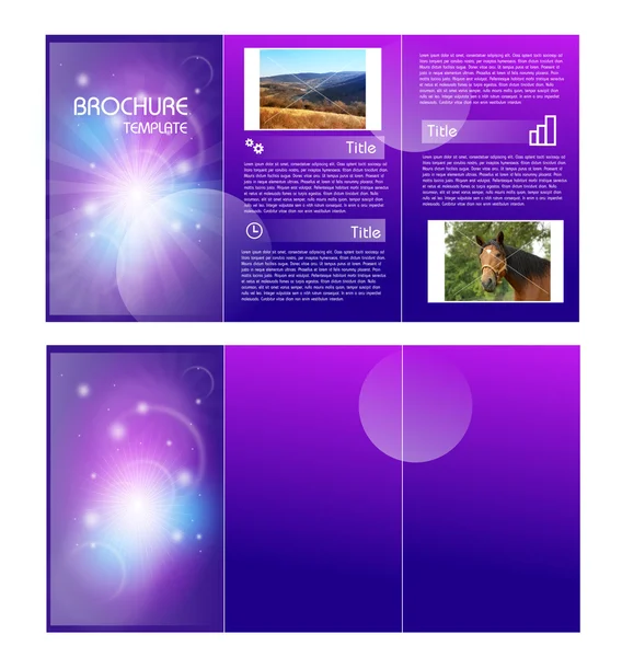 Paarse brochure sjabloon — Stockfoto