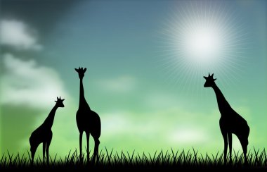 Giraffee sahne illüstrasyon