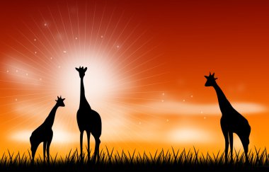 Giraffee sahne illüstrasyon