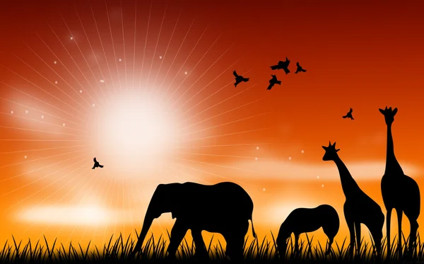 Africká zvířata scénu ilustrace — Stock fotografie