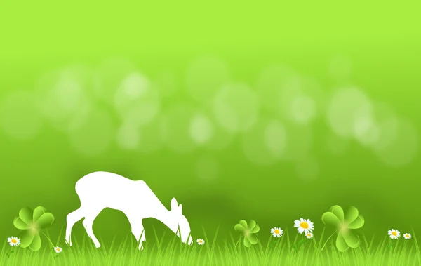Hind on grass — Stock Photo, Image