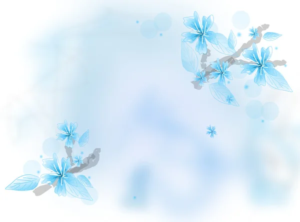 Background with light blue blooms — Stock Photo, Image