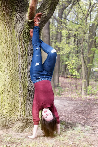 Frau macht Kopfstand an einem Baum — Stockfoto