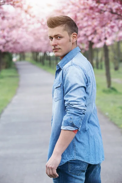 Portrait of blond handsome man in the park — Stock Photo, Image