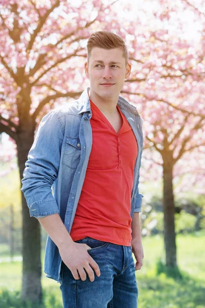 Portrait of man outdoors with cherry blossom — Stock Photo, Image