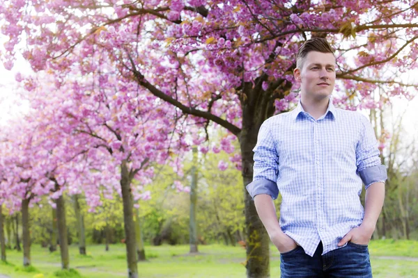 桜と屋外の男のポートレート — ストック写真