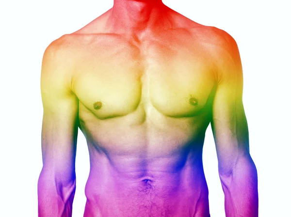 Muscular male torso with rainbow colors for gay pride — Stock Photo, Image