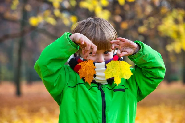 Portrait Young Boy Park Autumn Playing Leaves — Stock Photo, Image