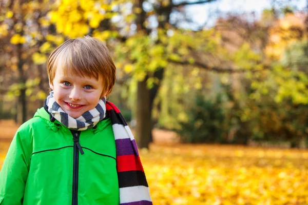 Muotokuva Hymyilevä Nuori Poika Seisoo Puistossa Syksyllä — kuvapankkivalokuva