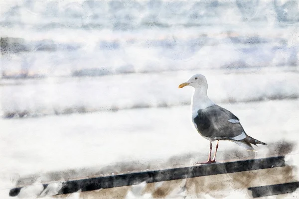 Seagull Sitting Railing Beach Watercolors — Stock Photo, Image