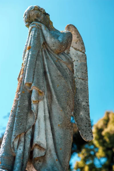背景に木のある天使の彫刻 — ストック写真