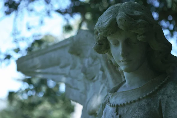 Sculpture Angel Tree Background — Stock Photo, Image