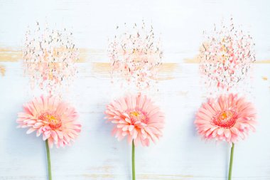 Üç pembe gerbera, sıvılaştırma efektiyle beyaz ahşap üzerine dizilmiş.