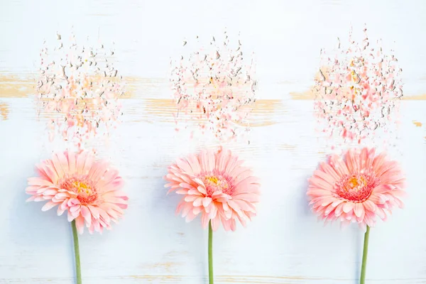 Trois Gerbera Roses Alignées Rangée Sur Bois Blanc Effet Liquide — Photo