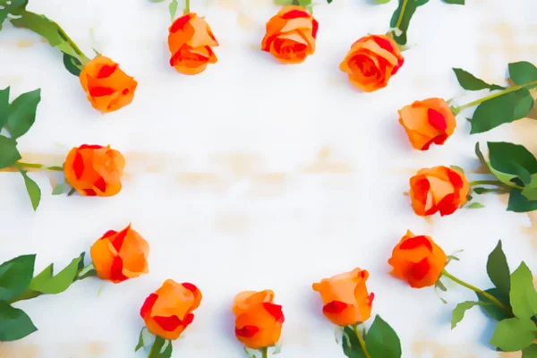 Оранжевые Розы Круге Белом Фон Иллюстрации — стоковое фото