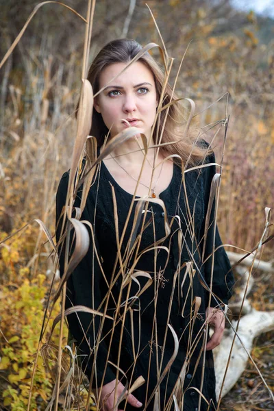 Brünette Frau Schwarzen Kleid Steht Zwischen Schilf Und Sieht Traurig — Stockfoto