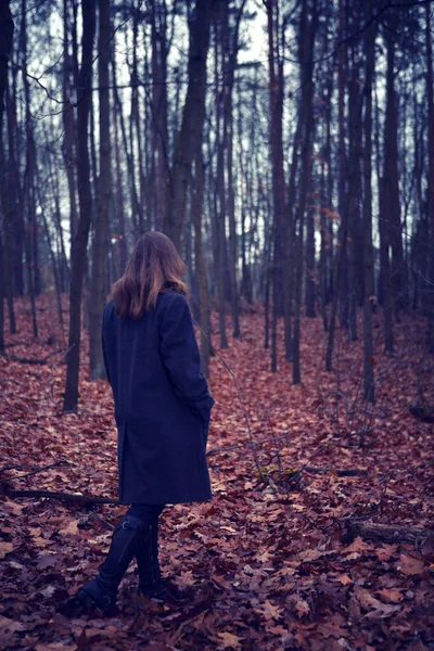 Back Brunette Woman Forest Autumn — Stock Photo, Image