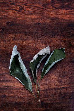 Tahta bir masanın üzerindeki kurumuş yaprakların yakın çekimi.