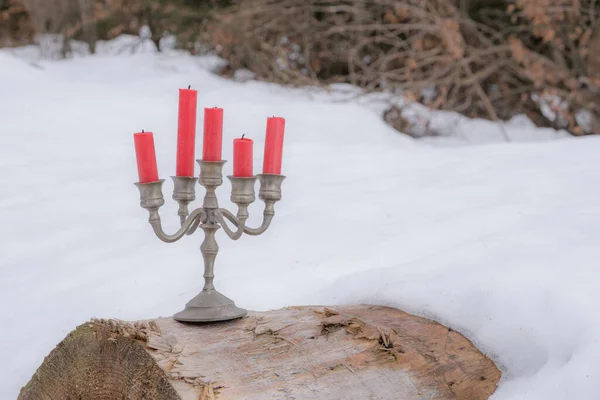 겨울철 의나무 줄기에 촛불이서 — 스톡 사진