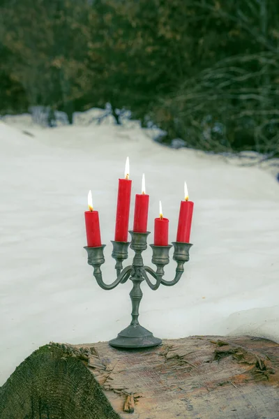 겨울철 의나무 줄기에 촛불을 — 스톡 사진