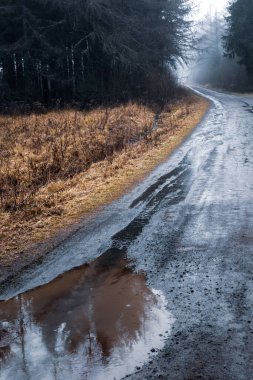 Sonbaharda karanlık ormana çıkan yağmur sularıyla dolu toprak yol ve su birikintisi.