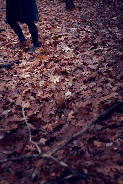 Close Womans Legs Black Boots Standing Forest Leaves — Stockfoto