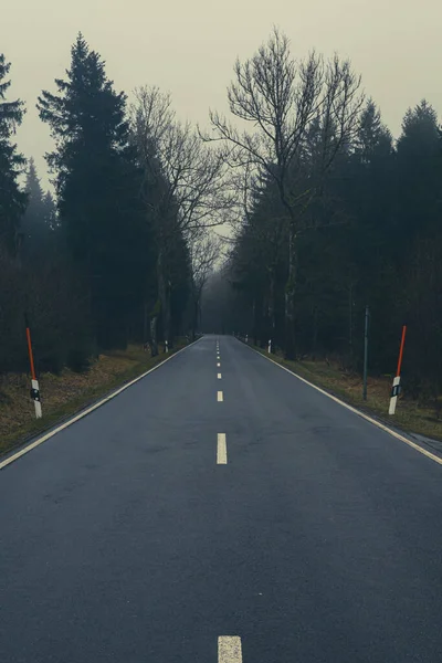 Dark Road Leading Foggy Forest — Stockfoto