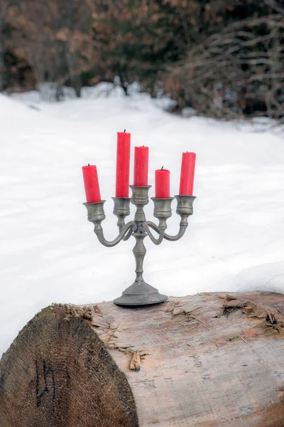 겨울철 의나무 줄기에 촛불이서 — 스톡 사진
