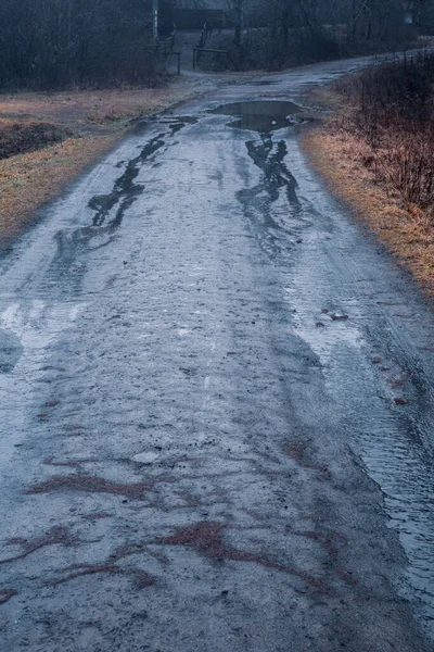 Dirt Road Puddle Rainwater Leading Dark Forest Autumn — Stock Photo, Image