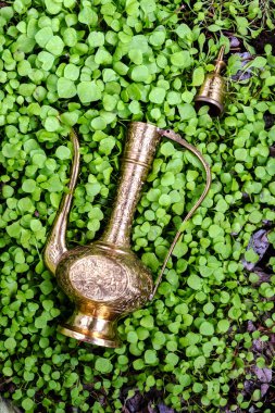 Çimlerin üzerinde antik bir altın sihirli lambanın yakın çekimi.