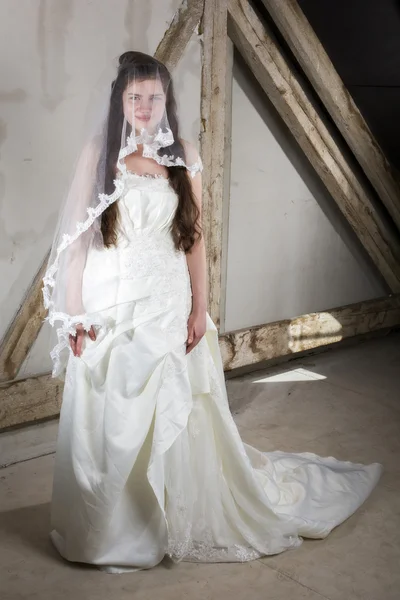 Young bride — Stock Photo, Image