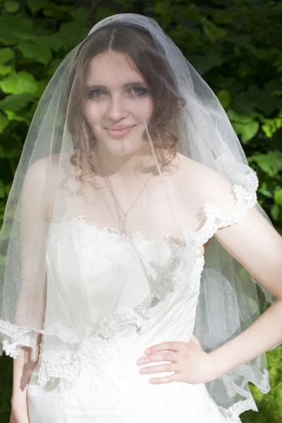 Young bride — Stock Photo, Image