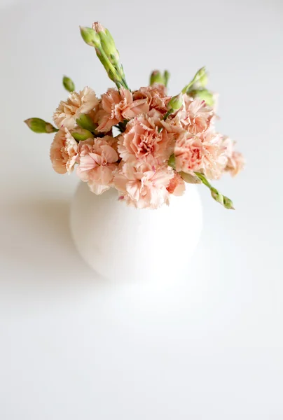 Bouquet d'oeillets — Photo