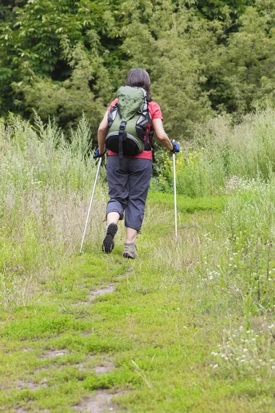 Vrouw wandelen — Stockfoto