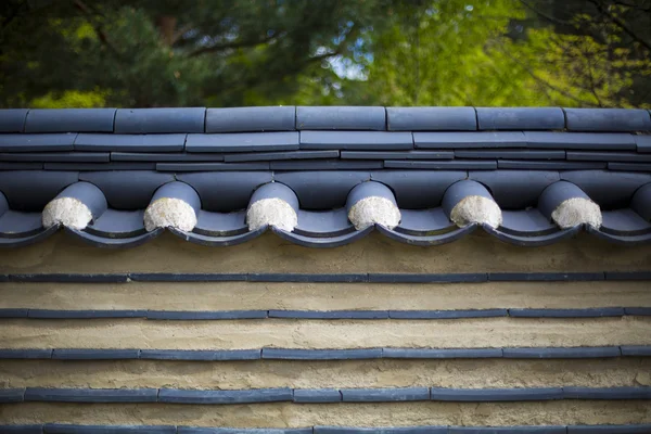 고 대 지붕 — 스톡 사진