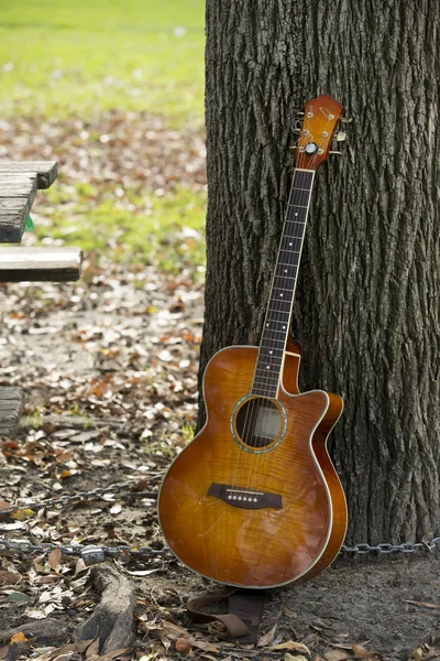 Gitaar leunend op boom — Stockfoto