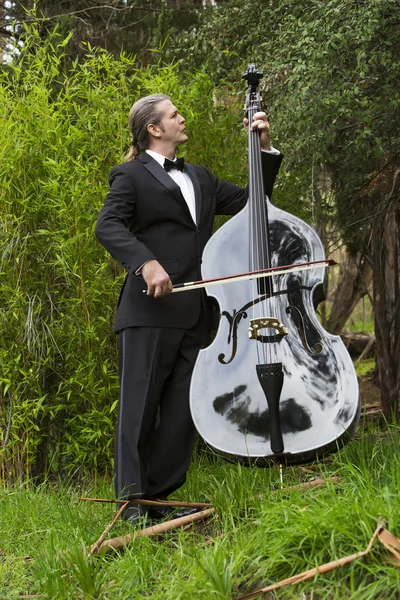 Man playing the double bass in park — Stock Photo, Image