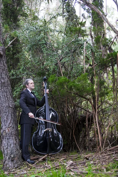 Homem tocando o contrabaixo no parque — Fotografia de Stock