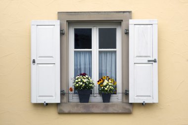 pencere Panjur ve saksı