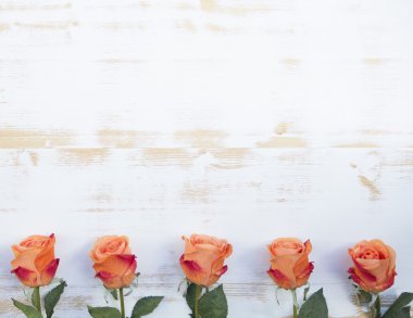 Beyaz rustik ahşap arka planda turuncu gül