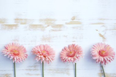 Beyaz rustik ahşap zemin üzerinde pembe gerbera