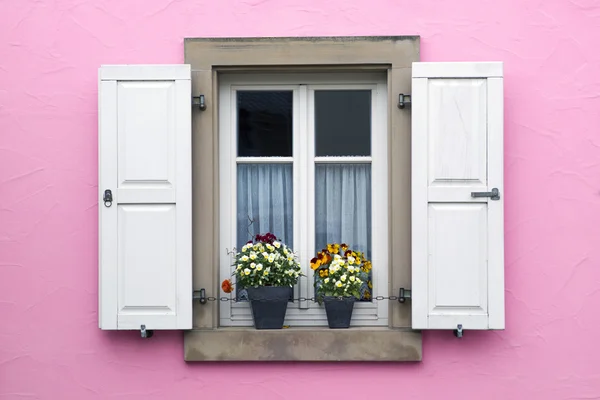 Růžové zdi s oknem s okenicemi a květináče — Stock fotografie