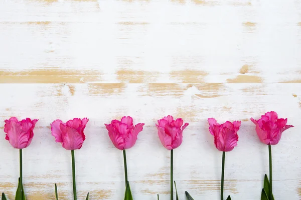 Tulipanes rosados sobre fondo blanco rústico de madera — Foto de Stock
