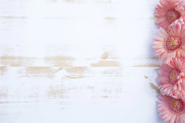 Růžová gerbera na bílém rustikální dřevěné pozadí — Stock fotografie