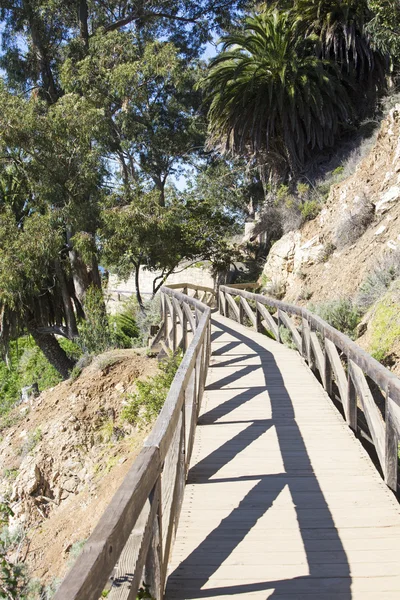 Boradwalk tropikal sahne — Stok fotoğraf