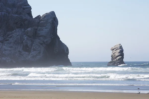Plajda büyük kaya — Stok fotoğraf